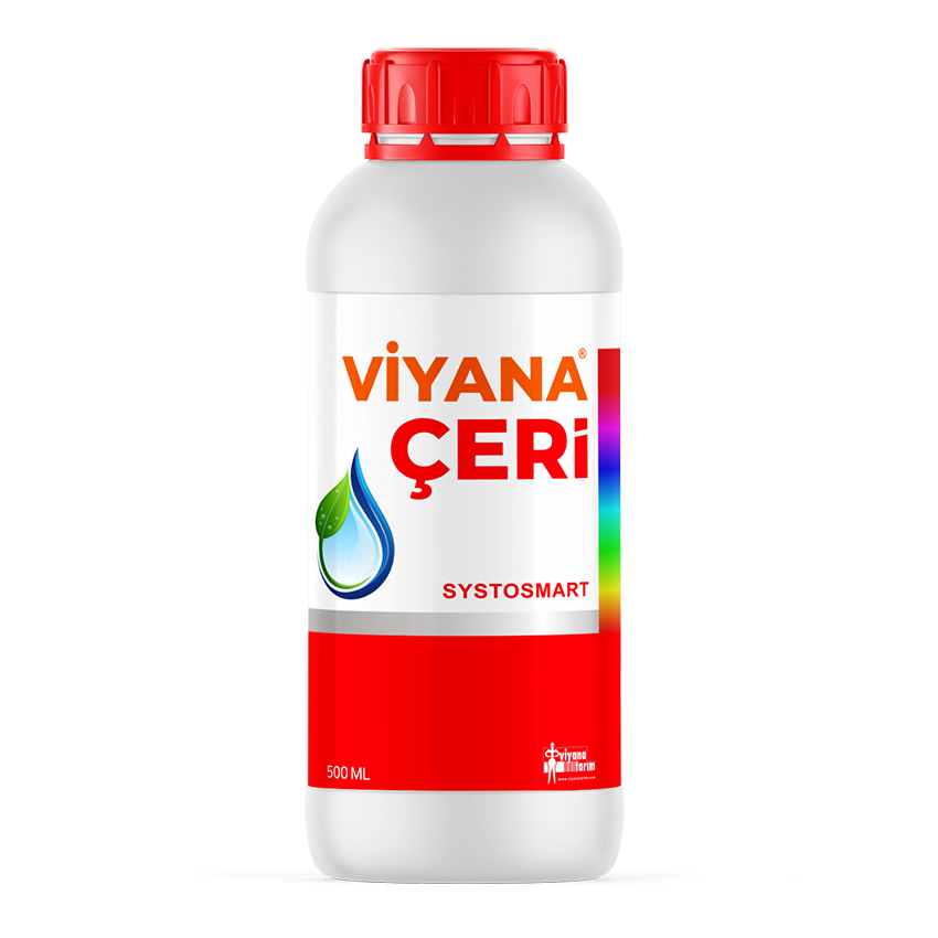 VİYANA ÇERİ